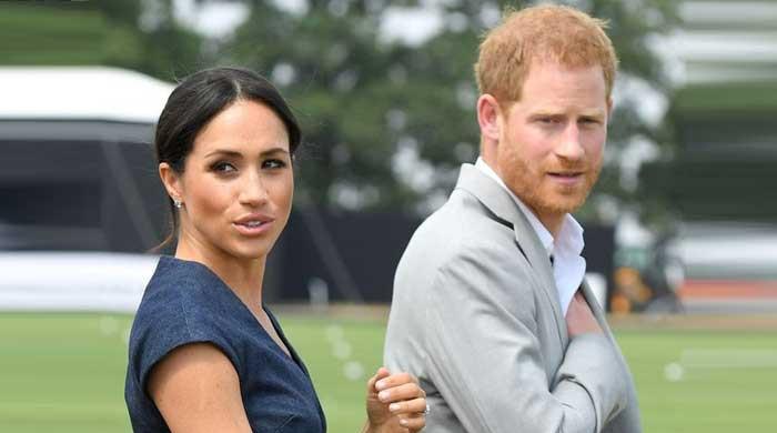 Meghan Markle faced 'serious, credible' threats from far-right says forme UK police official 