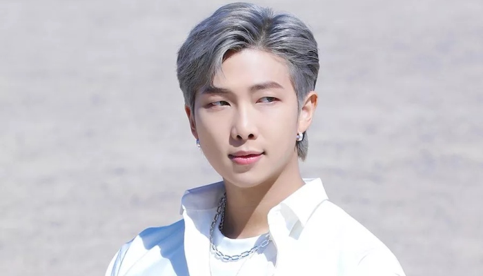 BTS RM talks on solo album Indigo, collaborations, more