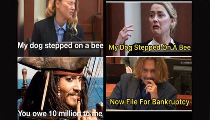 Amber heard meme, my dog stepped on a bee