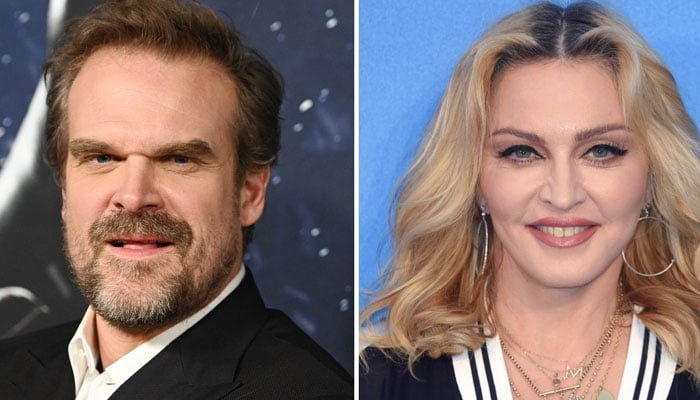 Stranger Things star David Harbour recounts Madonna compliment
