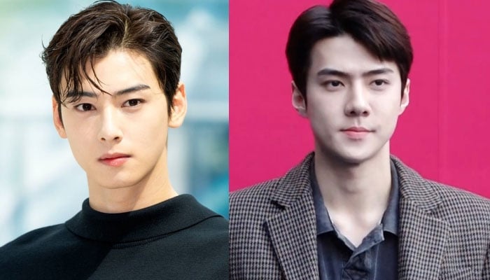 Cha Eun-Woo Oh Se-Hun  Attend brand fashion show - HiTV News