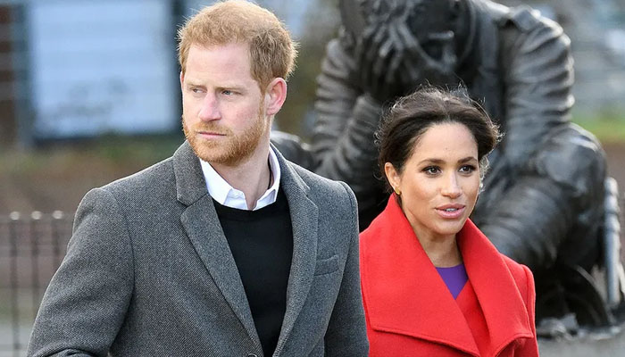 Prince Harry and Meghan Markle’s ‘money making’ plans after 2020s Megxit were slammed by a royal expert