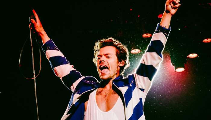 Harry Styles celebrates England’s major World Cup win during Argentina gig