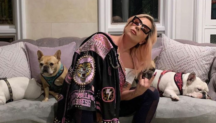 Penembak pejalan kaki anjing Lady Gaga mendapat 21 tahun penjara