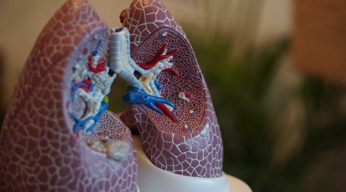Scientists explore breath test to detect lung cancer