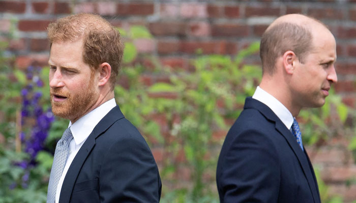 A mutual friend of Prince Harry and Prince William has reportedly made some shocking claims about their feud