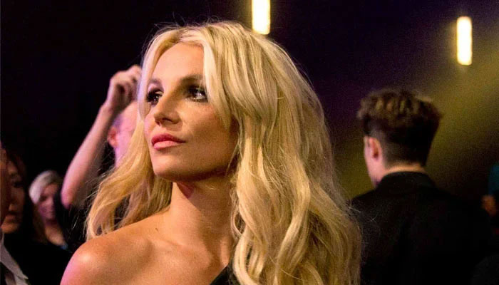 Britney Spears just wanted to be normal, says former make up artist