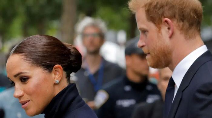 Meghan Markle, Prince Harry risking ‘downfall of a pariah’