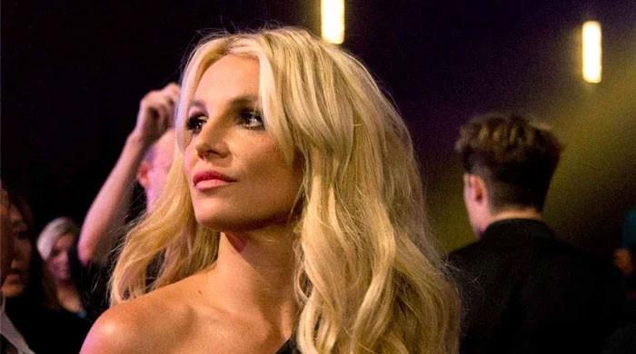 Britney Spears just 'wanted to be normal', says former make up artist