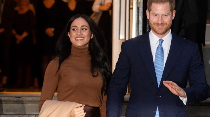 Buckingham Palace urged to 'reject' Harry, Meghan 'lies' ahead of Netflix series 