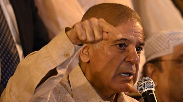 PM Shehbaz slams ‘Imran, minions’ after Daily Mail apology