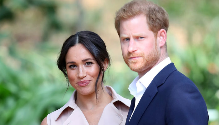 What did Prince Harry and Meghan say in Netflix series?