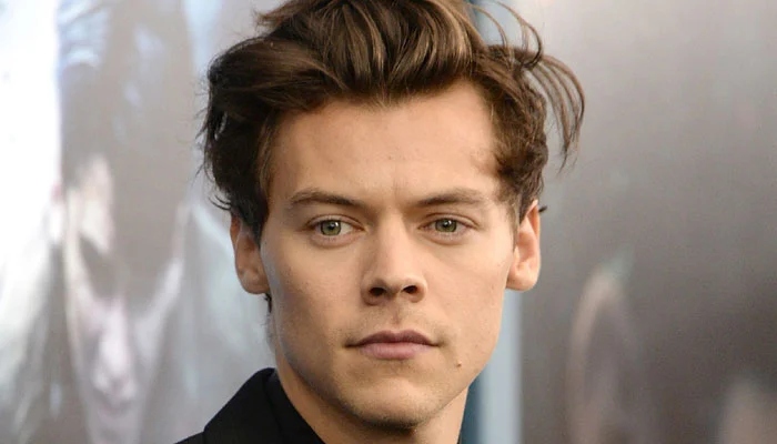 Harry Styles’ stage crew HIJACKED by gangsters