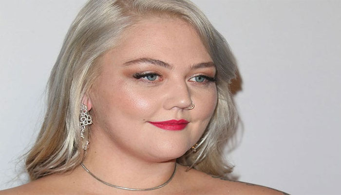 Elle King cancels her shows after suffering from concussion