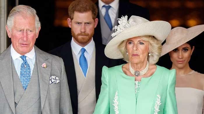 Royal family 'not approached' for comments over Prince Harry, Meghan Markle's Netflix series