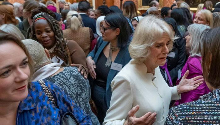 Ngozi Fulani’s charity suspends work after royal race row