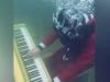 WATCH: 'Piano man' plays underwater leaves internet stunned