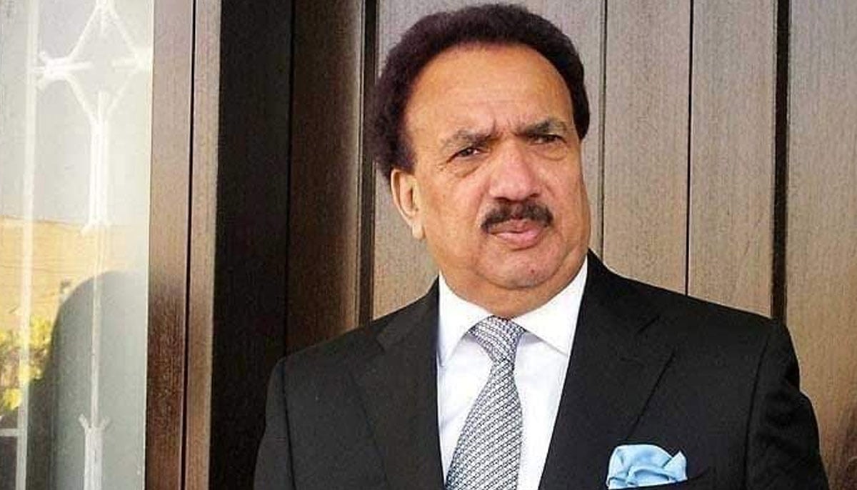 Pakistan Peoples Party senior politician and former interior minister Rehman Malik. — Twitter/@fahmidahyousfi