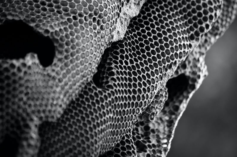 Image shows beehive. Pexels