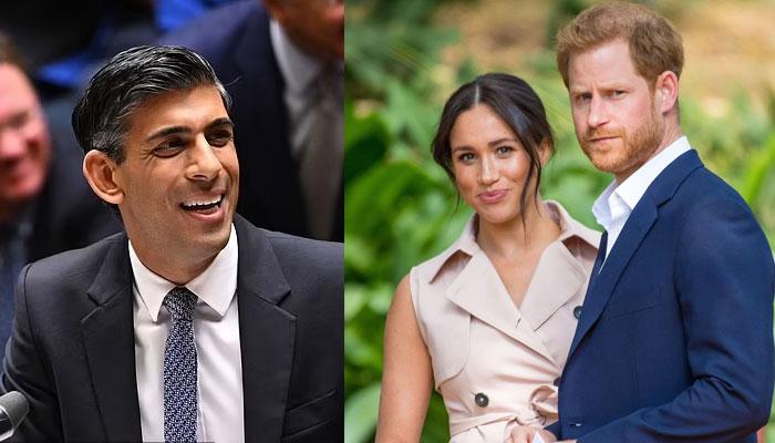 Harry, Meghans Netflix series has Rishi Sunak considering law change