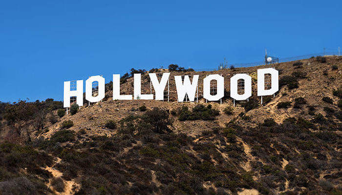 Beloved ‘Hollywood Cat’ mountain lion euthanized in Los Angeles