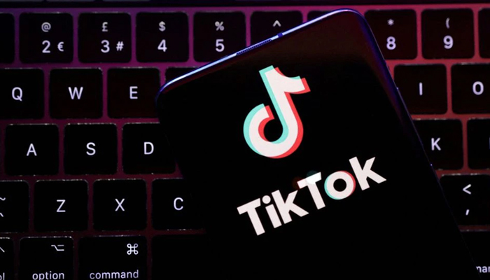 Taiwan menyelidiki TikTok atas dugaan operasi ilegal
