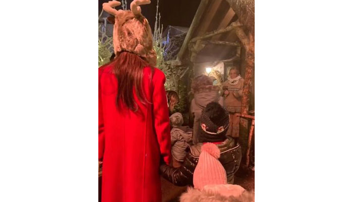 Liam Payne gets loved-up with new girl as ex Cheryl enjoys Christmas with Bear