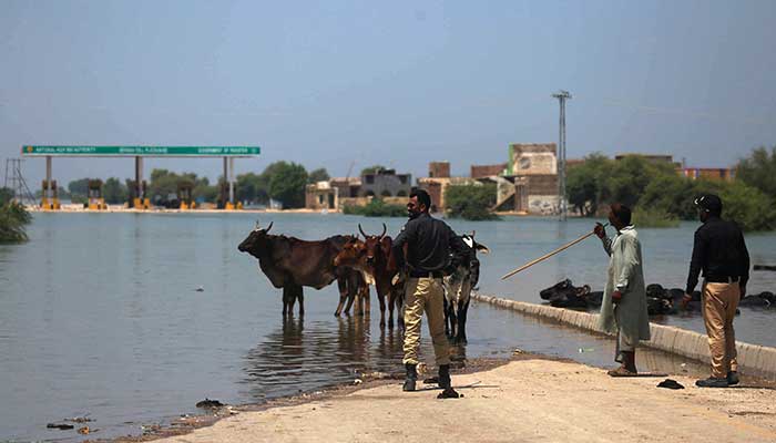 Policemen inspect a flooded area after heavy monsoon rains in Sehwan of Jamshoro district, Sindh province on September 8, 2022. Record monsoon rains have caused devastating floods across Pakistan since June, killing more than 1,200 people and leaving almost a third of the country under water, affecting the lives of 33 million. — AFP