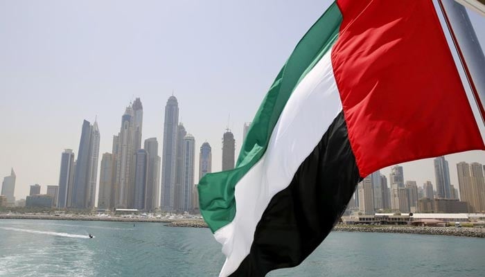 UAE flag flies over a boat at Dubai Marina, Dubai, United Arab Emirates May 22, 2015. — Reuters/File