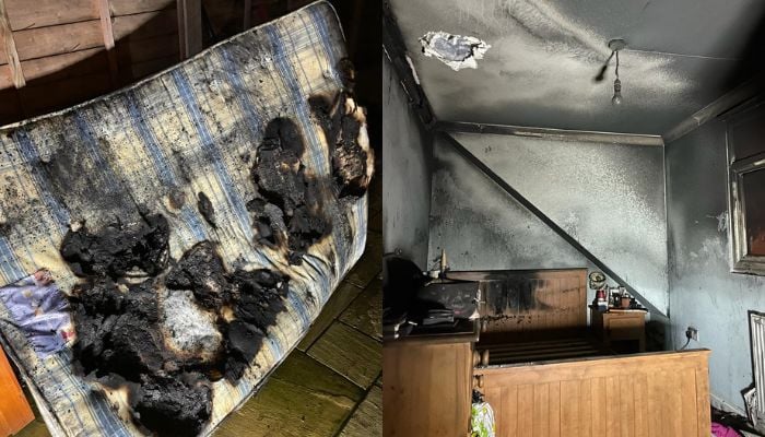 A woman arrived home in the evening to discover her house full of smoke and her dog waiting at the front door.— Twitter/Essex Fire Service