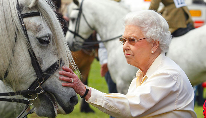 Royals hit with Christmas tragedy after late Queen's beloved companion dies - Vimarsana News