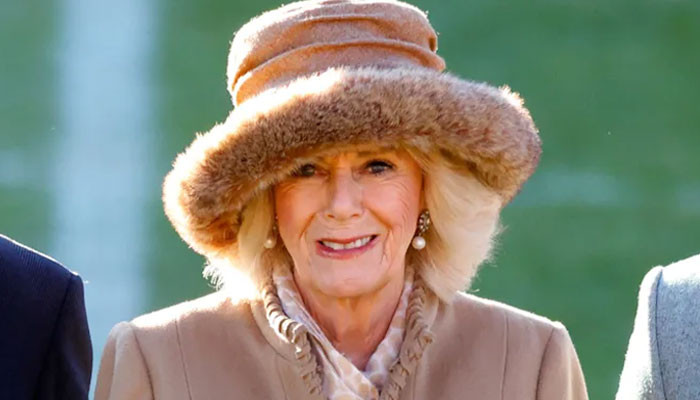 Queen Consort Camilla's new royal role will 'reduce over time' - Vimarsana News