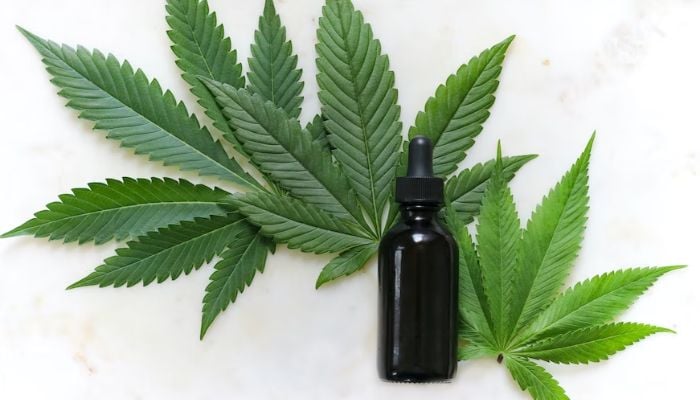 Image shows hemp or cannabis tincture.— Unsplash