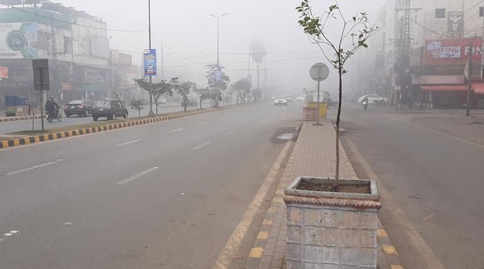 Dense fog causes disruption of road and air traffic Dense fog causes disruption of road and air traffic