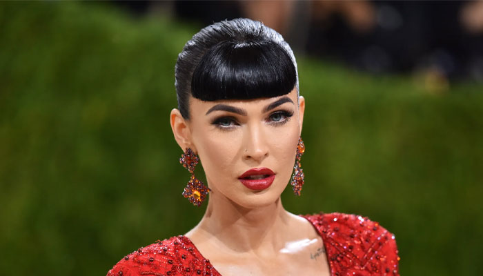 Megan Fox says she is seeking a girlfriend as posts a sultry picture