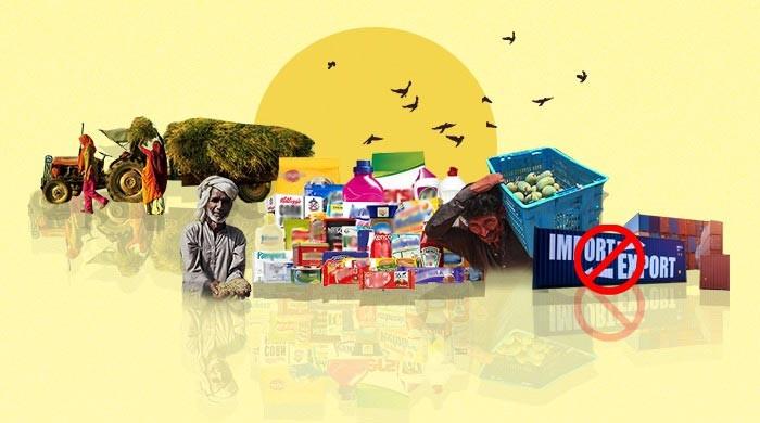 FMCG remains most resilient in 2022; agriculture languishes as biggest loser  
