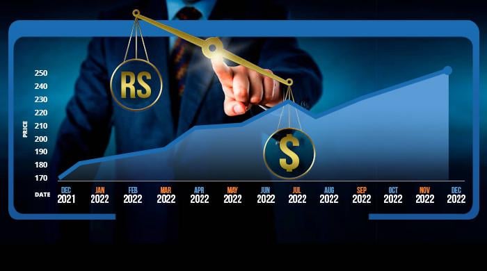 Rupee licks policy-inflicted wounds as dollar remains elusive in 2022