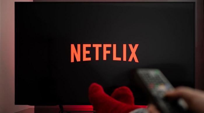 Netflix upcoming releases to binge-watch in January 1st to January 31st