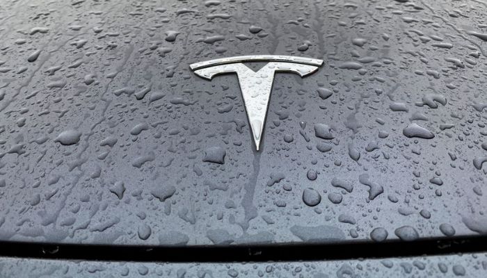 A view shows the Tesla logo on the hood of a car in Oslo, Norway November 10, 2022.— Reuters