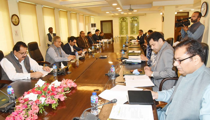 Finance Minister Ishaq Dar presiding over the ECC meeting in Islamabad on October 17, 2022. PID