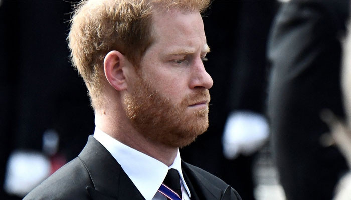 Prince Harry does not ‘see a day’ when he can go to ‘full time’ royal life