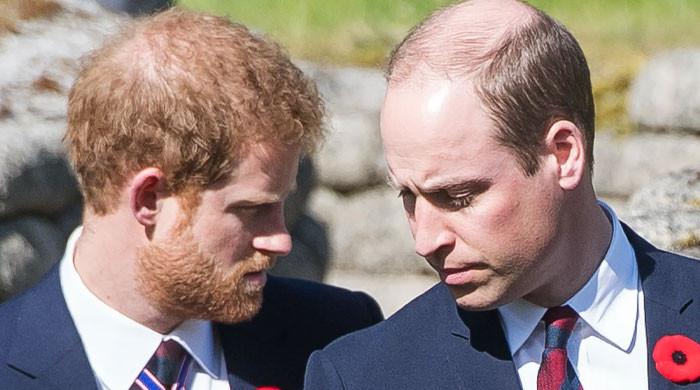 Prince Harry says William 'grabbed him' and 'knocked him to ground' over Meghan