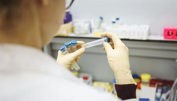 Person wearing lab coat and gloves holding test tubes.— Pexels