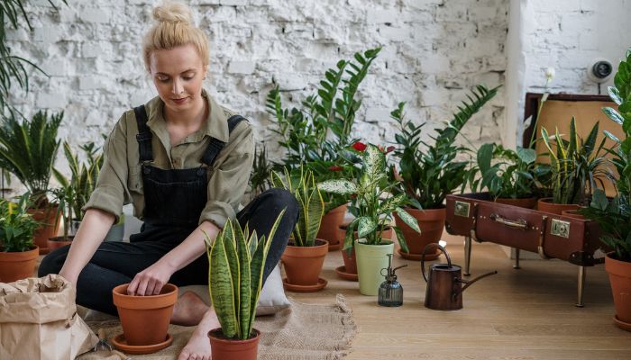 Woman in black jacket is busy in preparing pot plantation. — Pexels