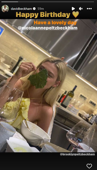 David Beckham wishes Nicola Peltz on birthday after New Year post snub