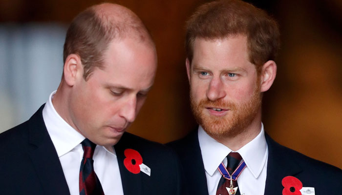 Prince Harry talks about his severed ties with Prince William: ‘not texting’