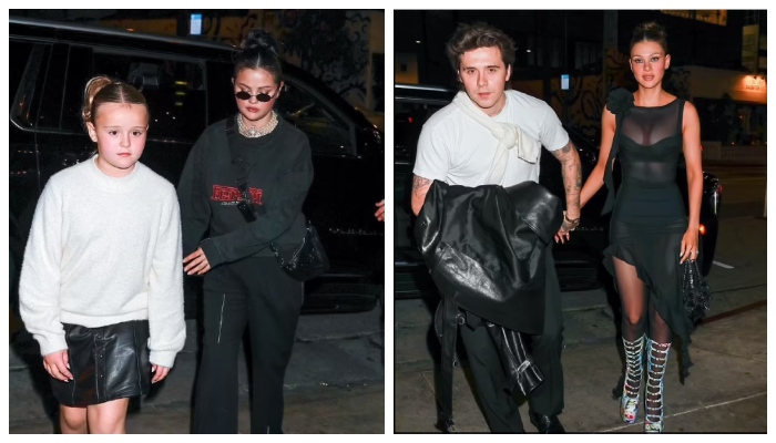 Selena Gomez membuat ulang tahun Nicola Peltz lebih spesial: Foto di dalam