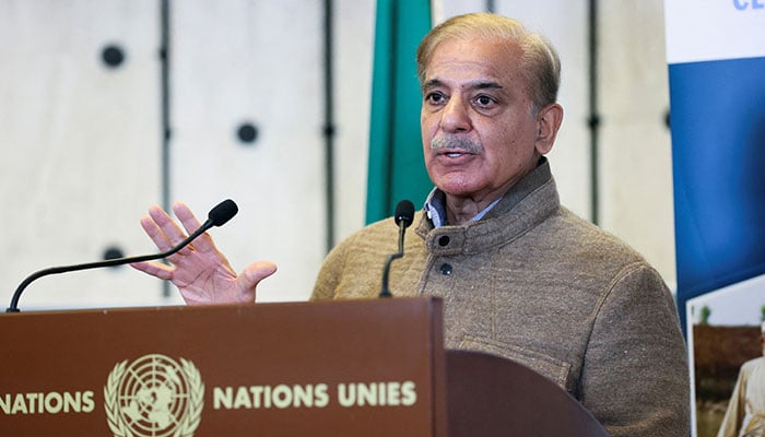 Pakistans Prime Minister Shehbaz Sharif speaks at a news conference at the United Nations, in Geneva, Switzerland, on January 9, 2023. — Reuters