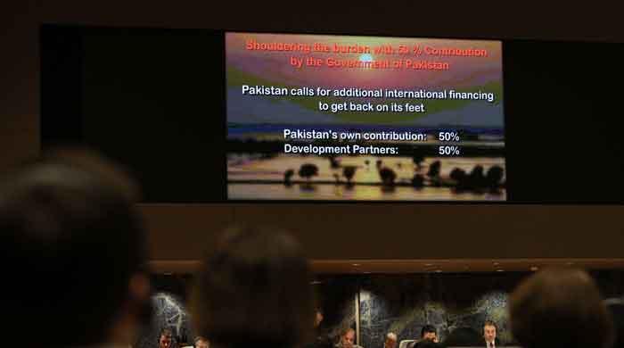 Geneva pledges and Pakistan's economic challenges