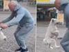 WATCH: Dog shocks internet with 32 skips in 30 seconds